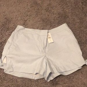 Loft Shorts